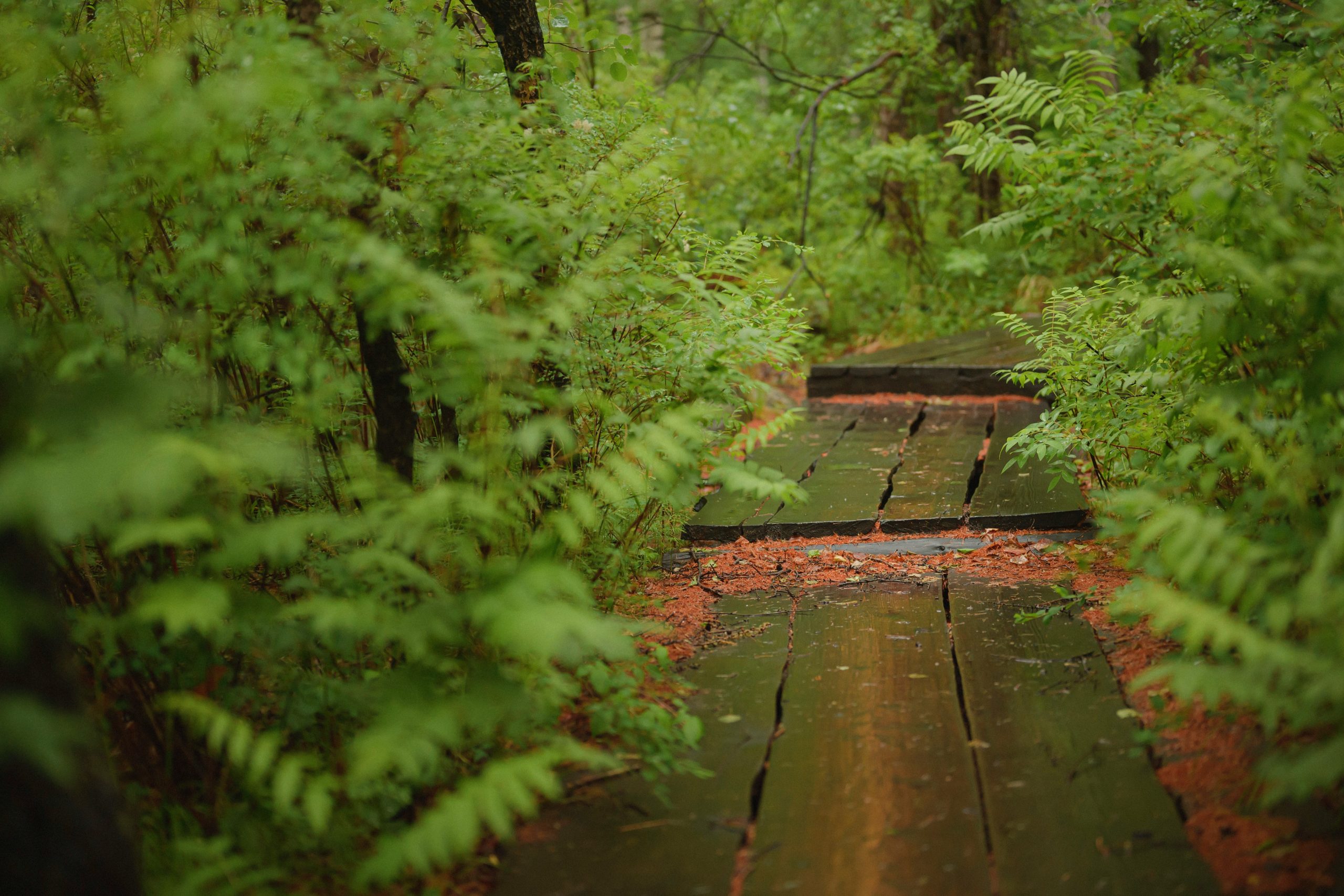 egor myznik iqu20wzqpmi unsplash