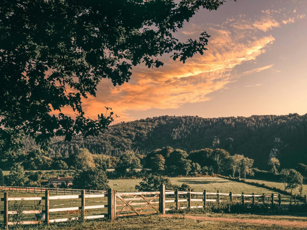 jake willett h2idxyemvik unsplash